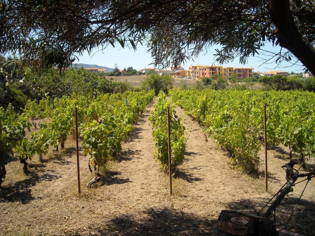 Agriturismo Crabileddu Valledoria (Sardinia) Exterior foto
